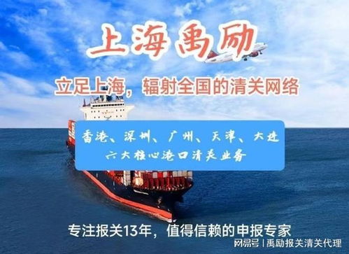 上海出口代理報關服務 專業商務代理，助您高效通關